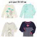 Gymboree Свитшот Лонгслив Кофта р.4 (рост 99-107)